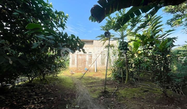 Jual Rumah Tinggal Finishing dan Kebun di Perkampungan Purwakarta