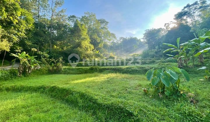 Jual Tanah Pinggir Sungai ada Mata Air Nempel Jalan Mobil Bojong Purwakarta