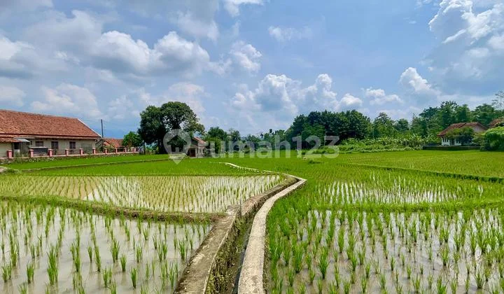 Dijual Murah Tanah Sawah Pinggir Jalan di Tanjungkerta Sumedang