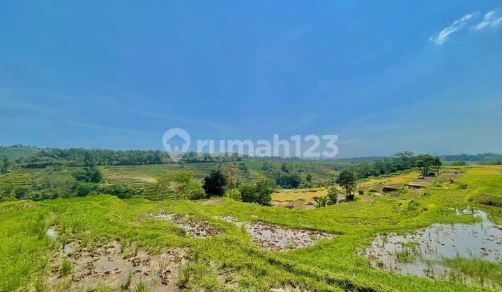 Tanah Ada Air Mengalir bisa Bikin Sawah di Darangdan Purwakarta