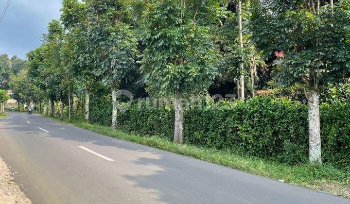 Jual Tanah Kebun Pinggir Jalan Raya Bojong Wanayasa Purwakarta