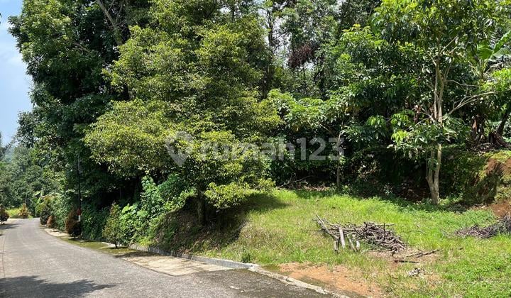 Jual Tanah Kebun Pala Pinggir Jalan Dekat Jalur Utama di Wanayasa Purwakarta