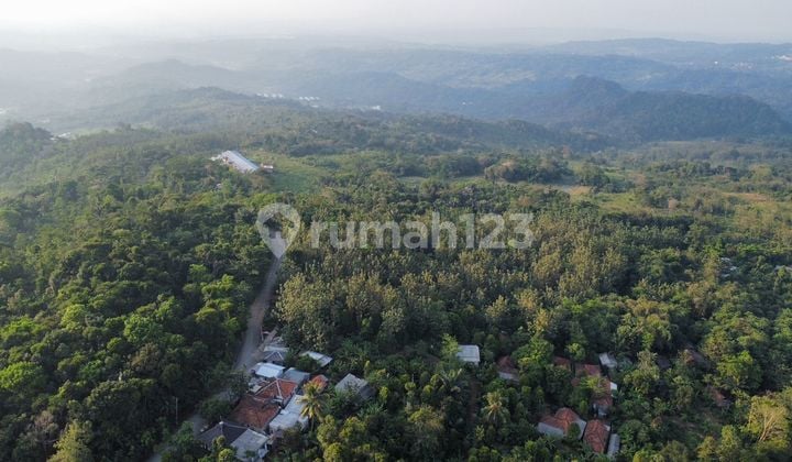 Dijual Tanah Kebun Produktif Akses Mobil di Kertasari Bojong Purwakarta