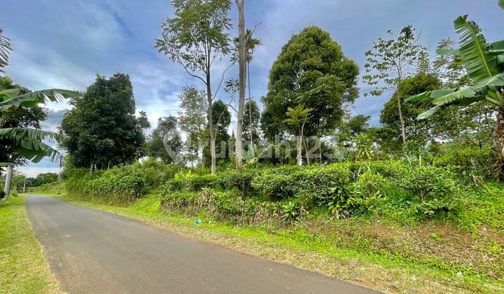 Dijual Tanah Kebun Kontur Datar Dekat Alun Alun Bojong Purwakarta