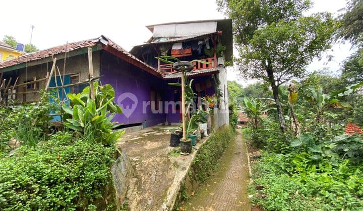 Jual Murah Rumah dan Kebun 432 m2 SHM di Perkampungan Bojong Purwakarta