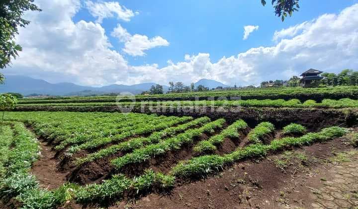 Jual Tanah Datar View Bagus di Pinggir Jalan Tanjungsari Sumedang
