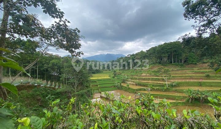 Dijual Murah Tanah Kebun Udara Dingin di Bojong Purwakarta