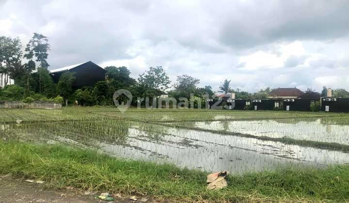 Lease Hold Land In Cemagi 5 Minute To Cemagi Beach