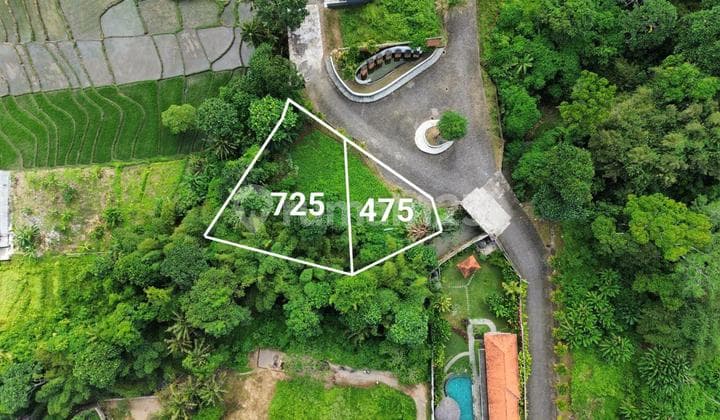 Dijual Dan Di Sewakan Tanah Lokasi Di Kedungu