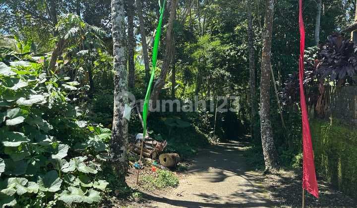 Lease Hold For Sale In Payangan Ubud - Keliki