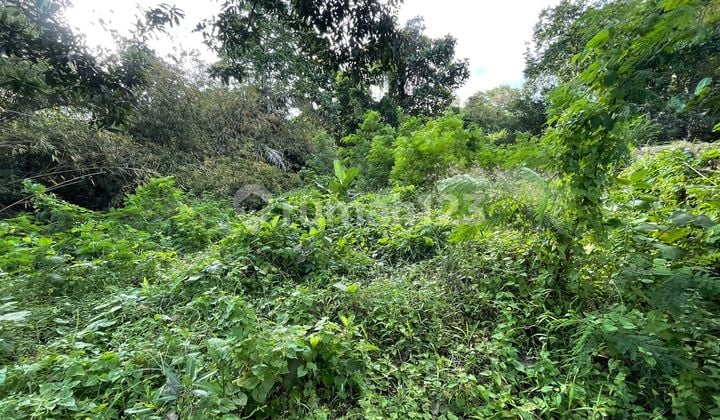 Jual Tanah Dalung View Sungai Dan Sawah Luas 170m2 (1,7are) Global