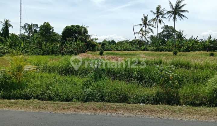 Lease Hold Land In Kedungu Main Road Size 12 Aras