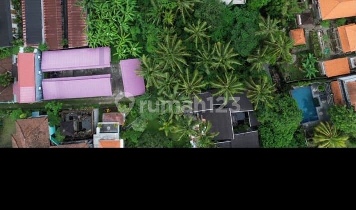 Land For Leasejalan Bisma Ubudprime Location