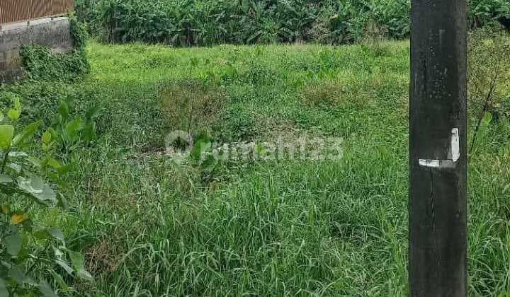 Leasehold Land 10 Ara View Rice Field