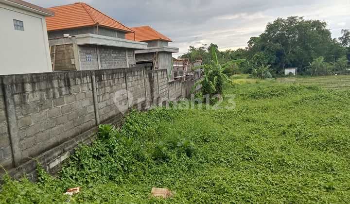 Lease Hold Land Main Road In Kerobokan Size 11 Are