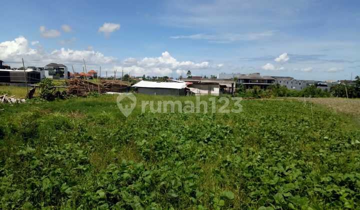 Land for Rent Near Cemagi Beach