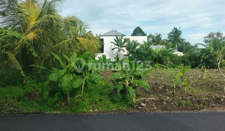 Super Rare Premium Land For Rent In Kengetan Ubud