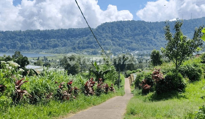 Land with Lake Buyan View in Bedugul