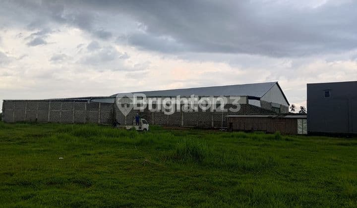 GUDANG BARU BELUM PERNAH TERPAKAI di GONDANGLEGI