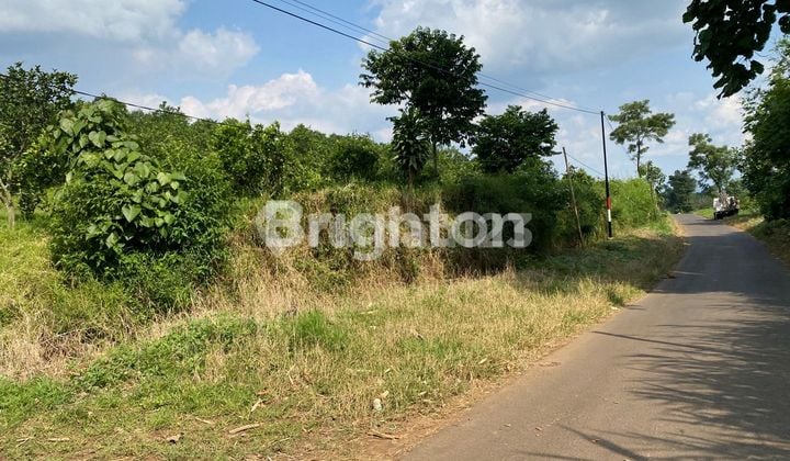 Tanah Lahan Kuning di Donowarih Karangploso