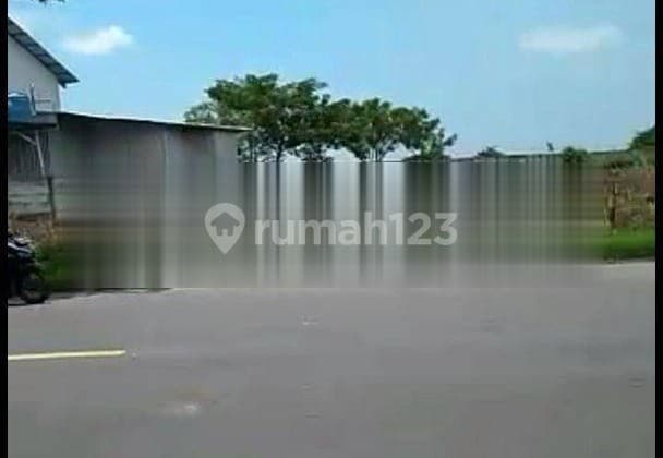 Tanah Industri di Jl Nasional Widang Tuban