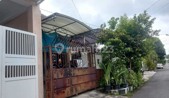 Rumah SHM di Darmo Baru Barat, Butuh Renovasi Lebar 9.