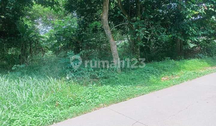 Jual Tanah Komersial Cisauk Strategis Shm Murah Nego