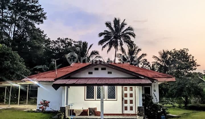 Villa Nyaman Murah di Cipari, Cisarua Bogor