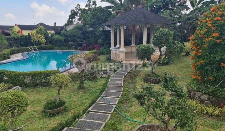 Dijual Villa Luas 2050M² di Puncak, Ada Kolam Renang dan Full Furnished