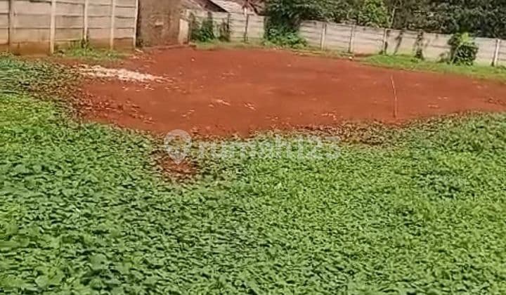 Dijual Tanah di Cisauk Lokasi Nempel Jalan dan Dekat Indomaret