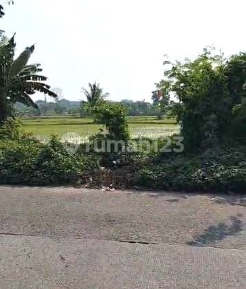 Dijual Tanah Kosong Cocok untuk Investasi di Balaraja Tangerang