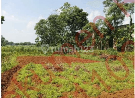 Tanah Investasi Para Developer Harga Lelang