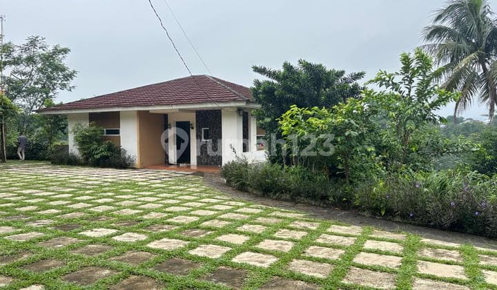 Rumah Gaya Vila Luas Batu Tulis Bogor Harga Lelang