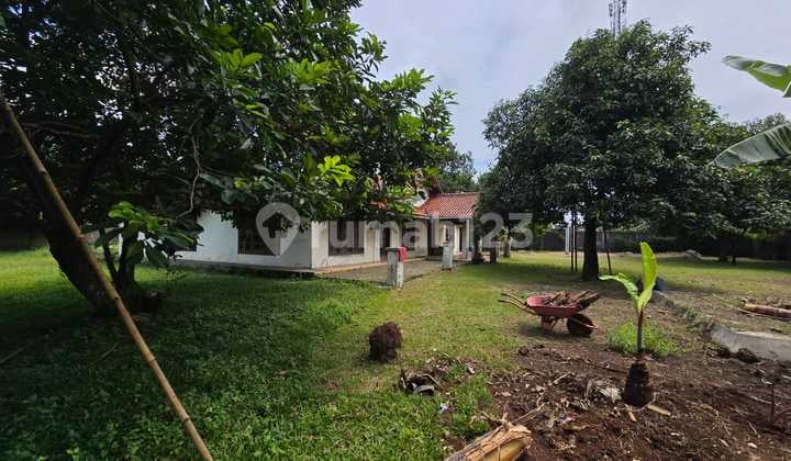 Rumah Kebun Parung Jual Lelang