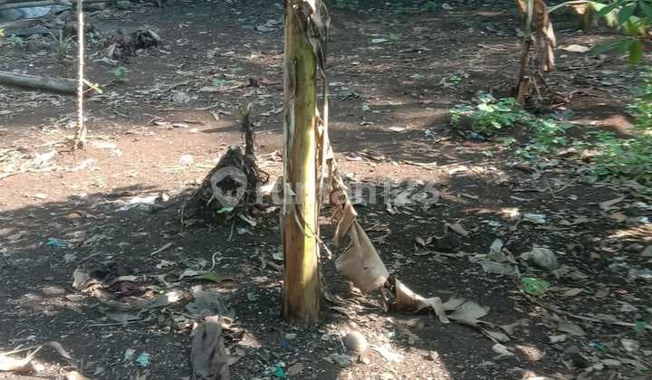 Dijual Tanah Pinggir Jalan Bojongsari Sawangan Depok Turun Harga