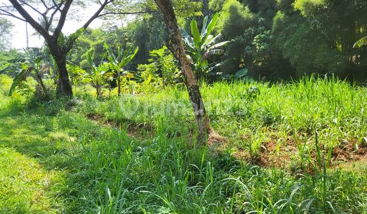 Dijual Tanah Cocok untuk Rumah Sakit Sekolah Disawangan Depok