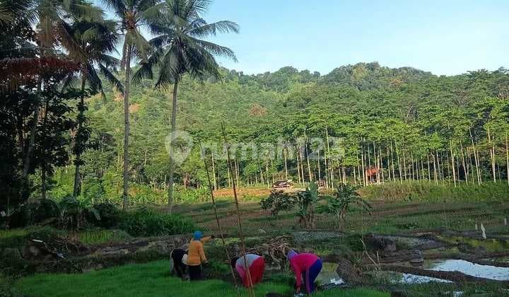 Tanah 3.900 M² Loji - Potensi Villa / Wisata, Dekat Curug Cigentis Tanah