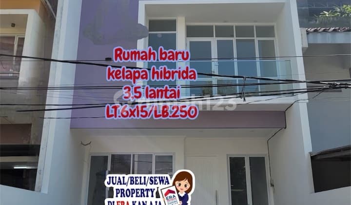 Rumah Brand New 3.5lt Kelapa Hibrida