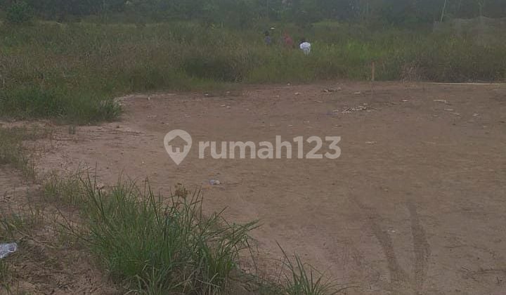 Tanah Dijual Murah di Pinggir Kota Samarinda.