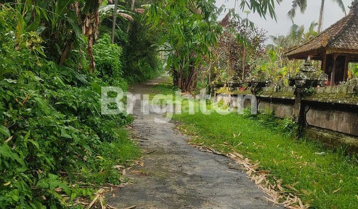 TANAH DATAR SIAP GUNA DI PENEBEL TABANAN – COCOK UNTUK PERKEBUNAN ATAU PETERNAKAN