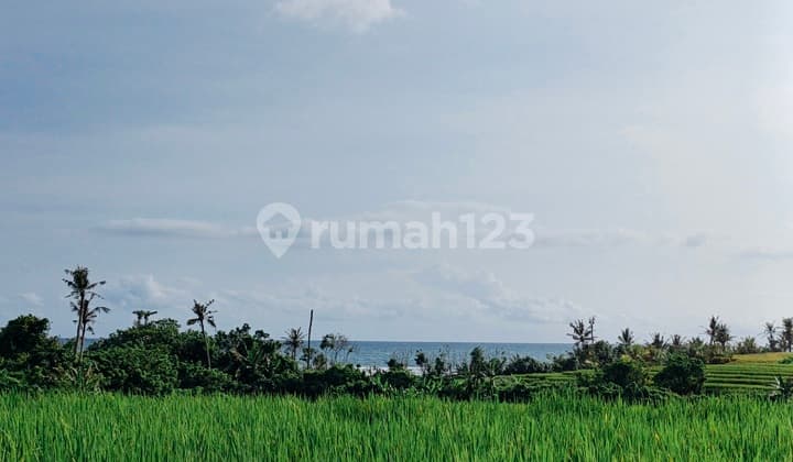 Tanah Seluas 700M² Dekat Pantai Pasut - Tabanan