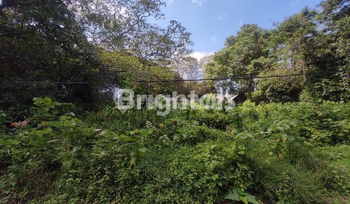 TANAH STRATEGIS DEKAT ALAS KEDATON DENGAN AKSES JALAN LUAS