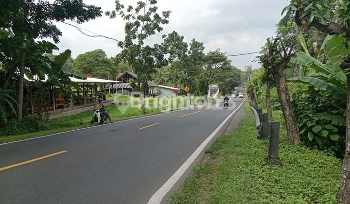 TANAH INVESTASI STRATEGIS DI ANTAP, SELEMADEG