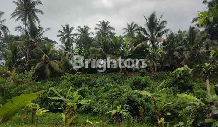 TANAH KAVLING ITR KUNING DI BATUAJI, TABANAN