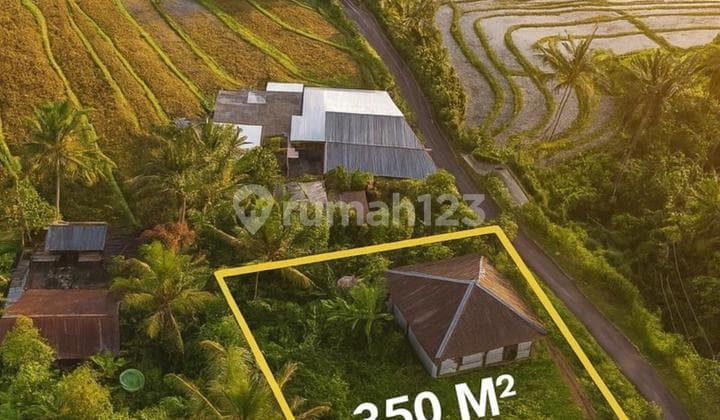 Land Area of 350M² in Yellow Zone, Lovina