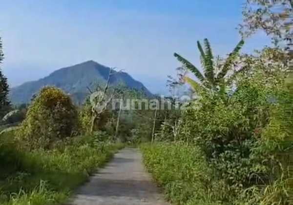 Land Area of 65,120 m² in the Turyapada Tower Tourism Area, Buleleng