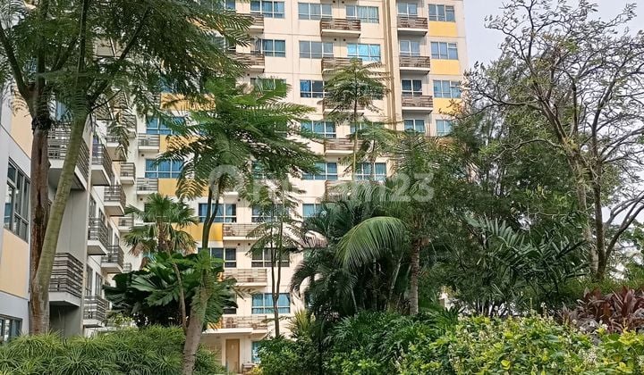 Disewakan Apartemen Baru Summarecon Bekasi. Type Studio Freesia Springlake View