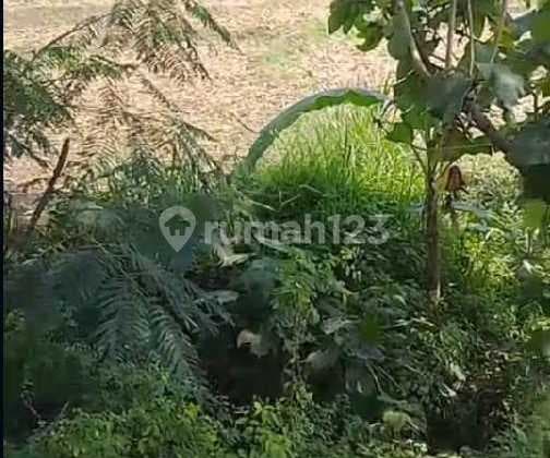 Tanah Di Jual Di Jatirejo Mojokerto