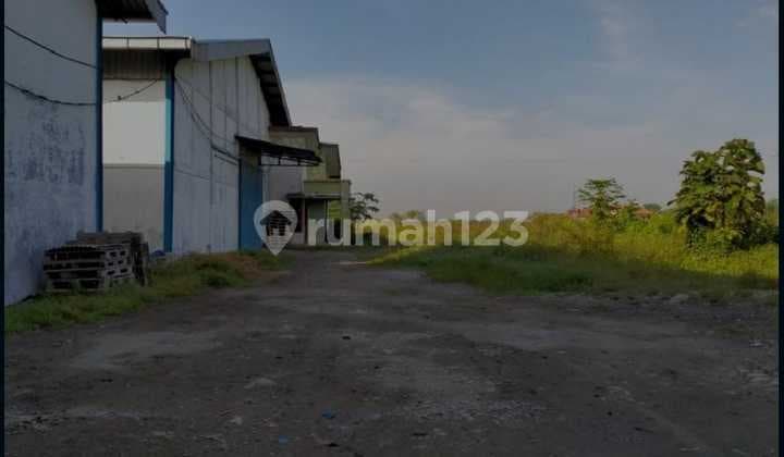 Di Jual Gudang Nol Jalan Balongpanggang Gresik