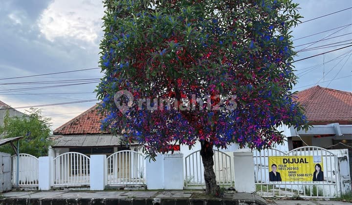 For Sale / For Rent House on Jl. Veteran ~ Cirebon City
